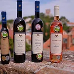 فندق Marcincak*** ميكولوف