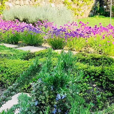 호텔 Marcincak*** 3*