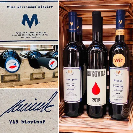 호텔 Marcincak*** 미쿨로프