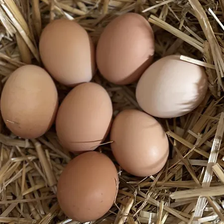 호텔 Marcincak*** 3*