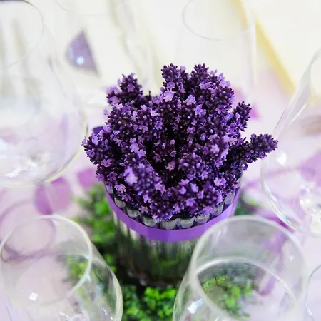 호텔 Marcincak*** 미쿨로프