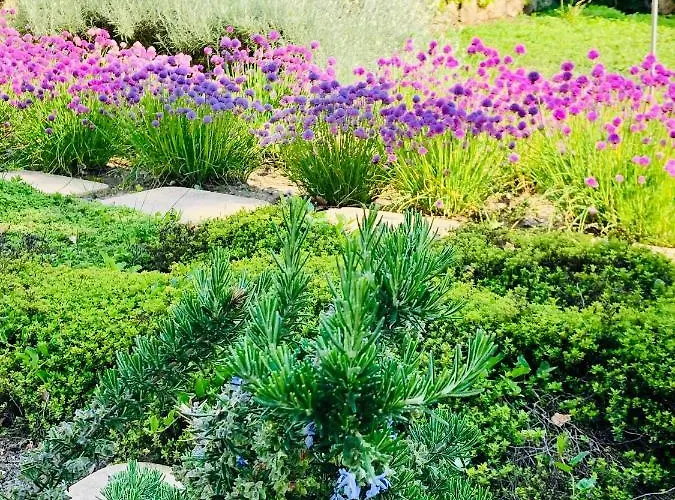 Hotell Marcincak*** 3*