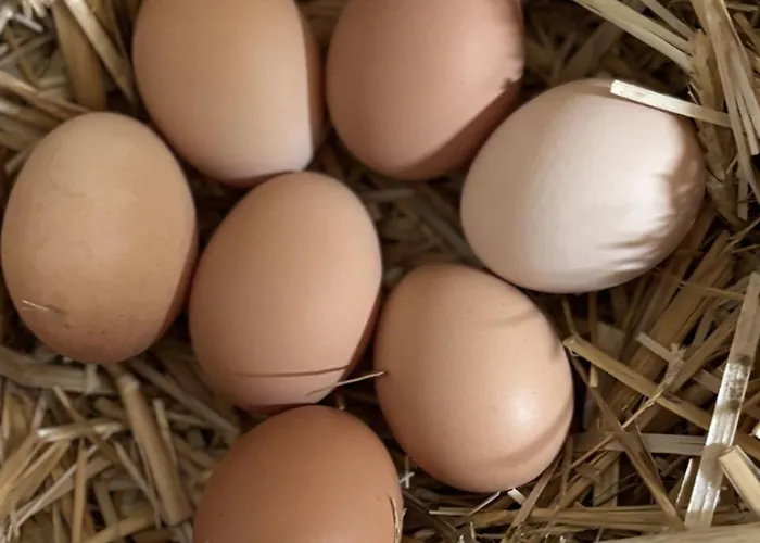 Hotell Marcincak*** 3*